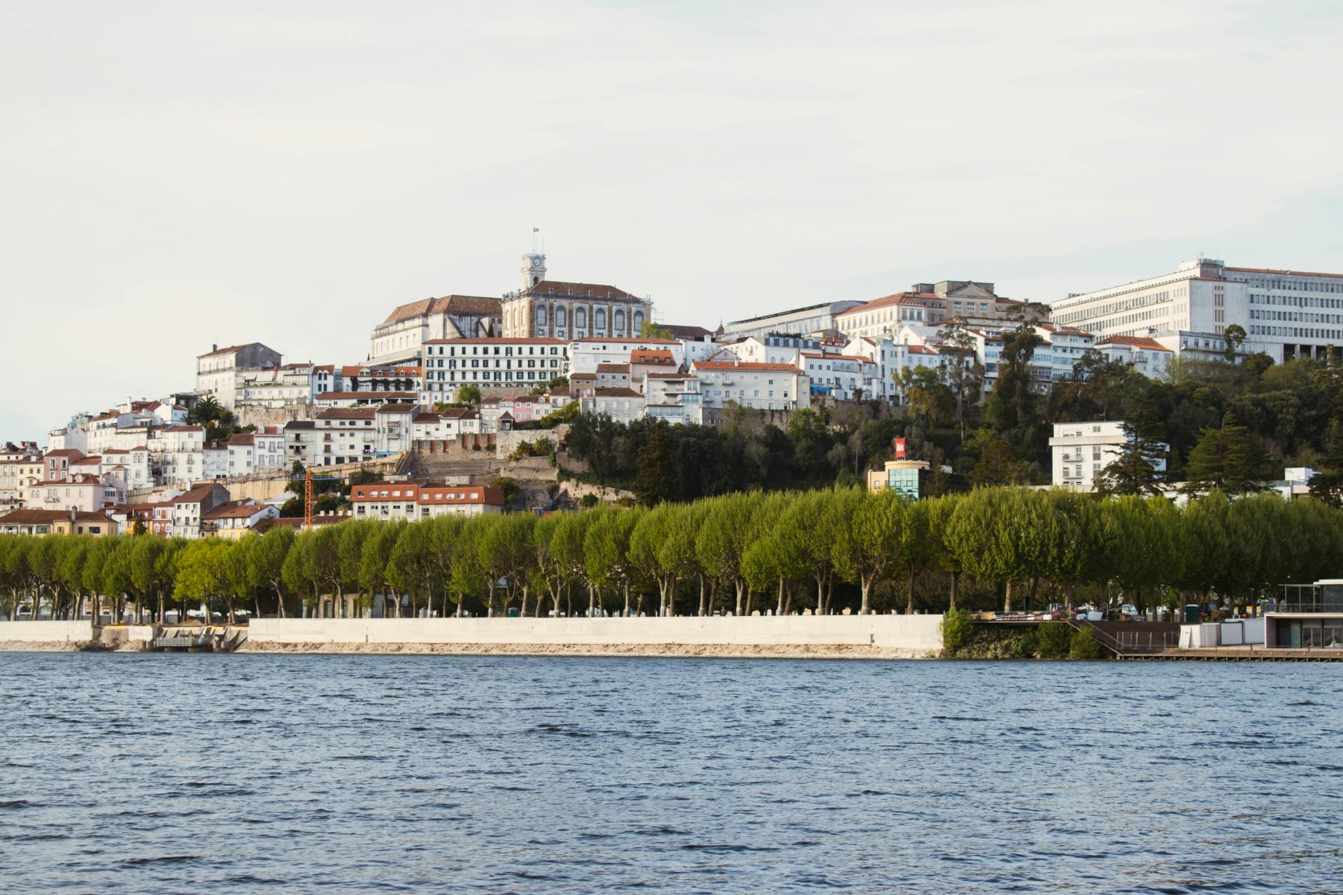 Luís Vaz