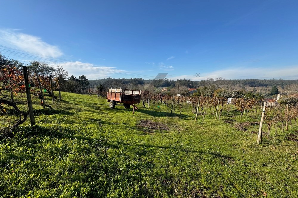 Terreno Urbano em Vil de Matos, Coimbra – Um Investimento com Potencial!