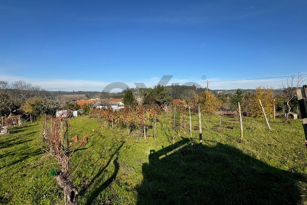 Terreno Urbano em Vil de Matos, Coimbra – Um Investimento com Potencial!