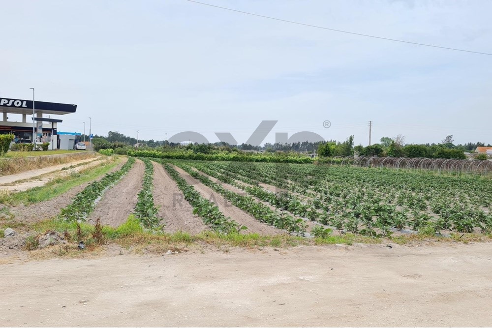 Parcela de terreno urbanizável, com 12.000m2, à entrada das Caldas da Rainha, Zona Industrial, acesso A8/Lisboa/Leiria.