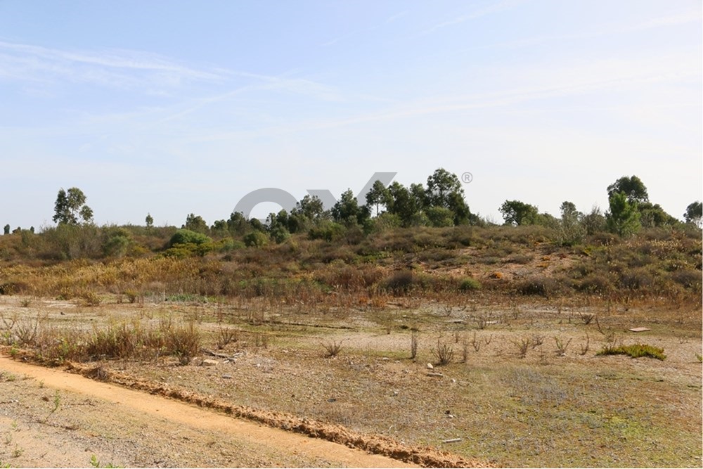 Terreno Industrial para construção no Parque Industrial Sapec Bay - Setúbal