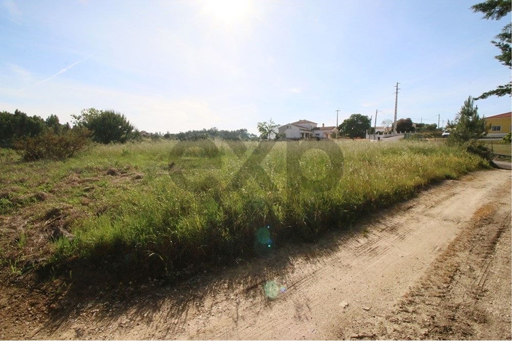 Terreno rústico com 13.280m2 na Lapa - Cartaxo