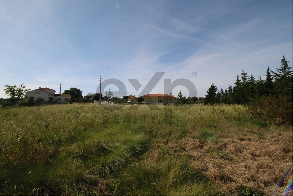 Terreno rústico com 13.280m2 na Lapa - Cartaxo