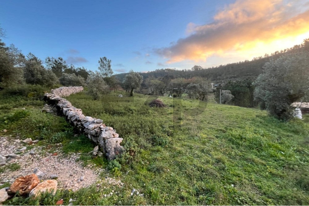 TERRENO DE 1440M2 COM PROJETO EM ALQUEIDÃO DA SERRA, PORTO DE MÓS