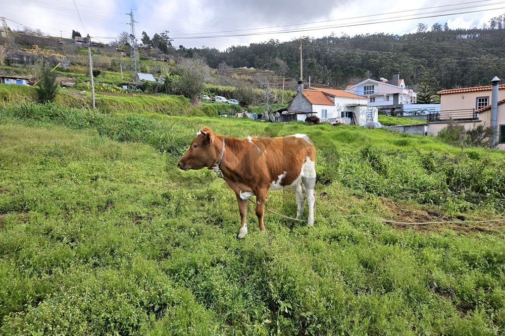 A plot of land in a natural environment, with stunning views over the mountains and the sea