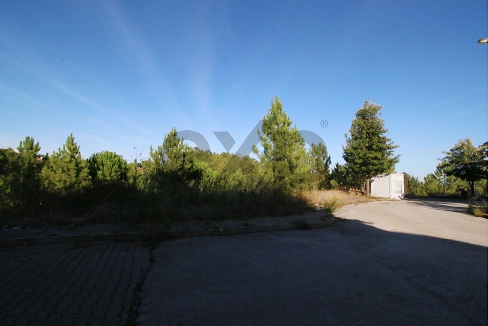 Terreno para construção de moradia de 2 pisos, na Chainça - Abrantes