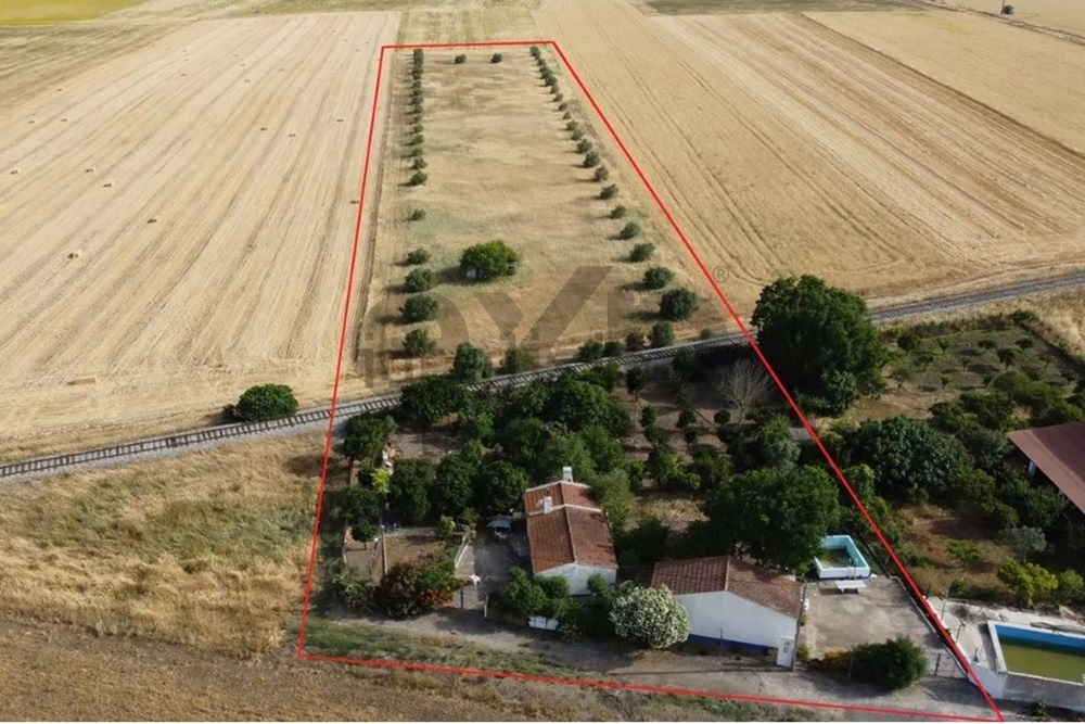 Moradia com Terreno Arborizado Próxima de Beja – Um Convite à Serenidade no coração do Alentejo