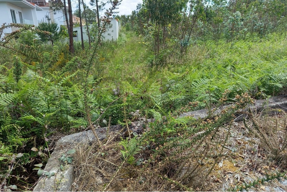 Terreno Exclusivo para Empreendimentos em Aveiro