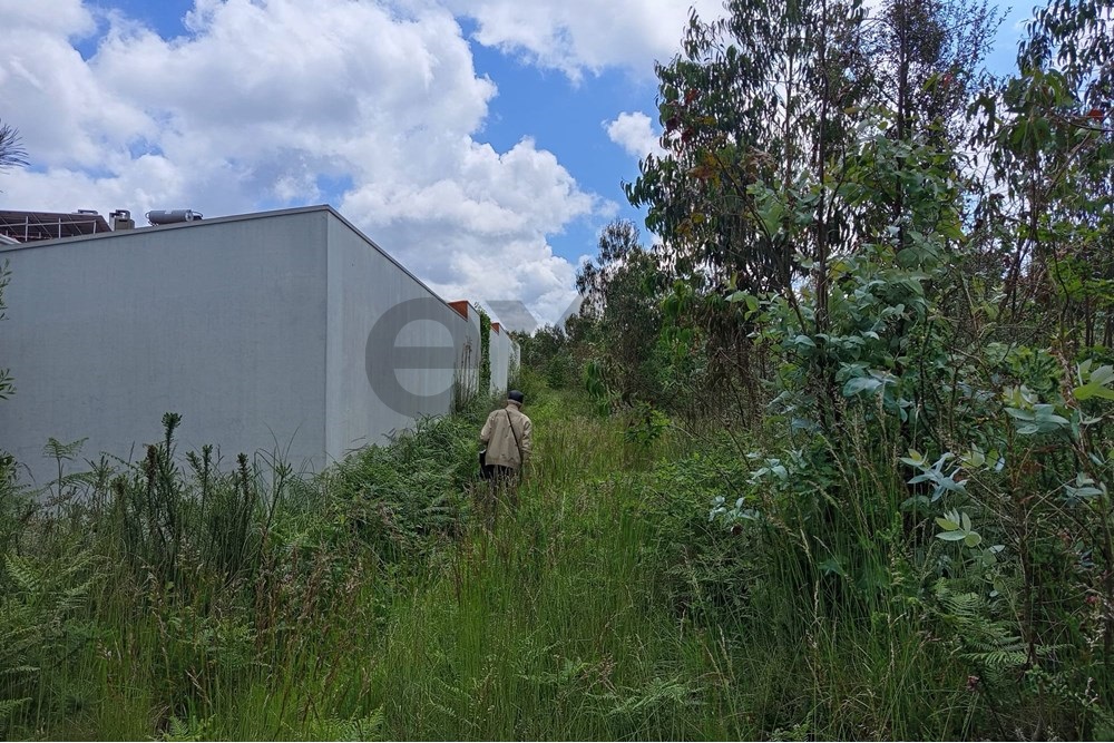 Terreno Exclusivo para Empreendimentos em Aveiro