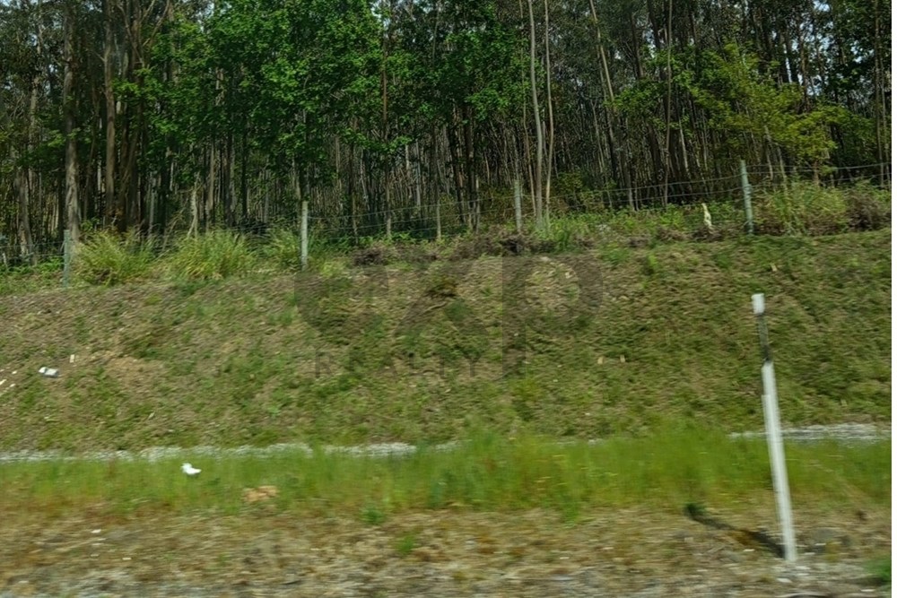 Terreno Premium em Nelas: Investimento Perfeito