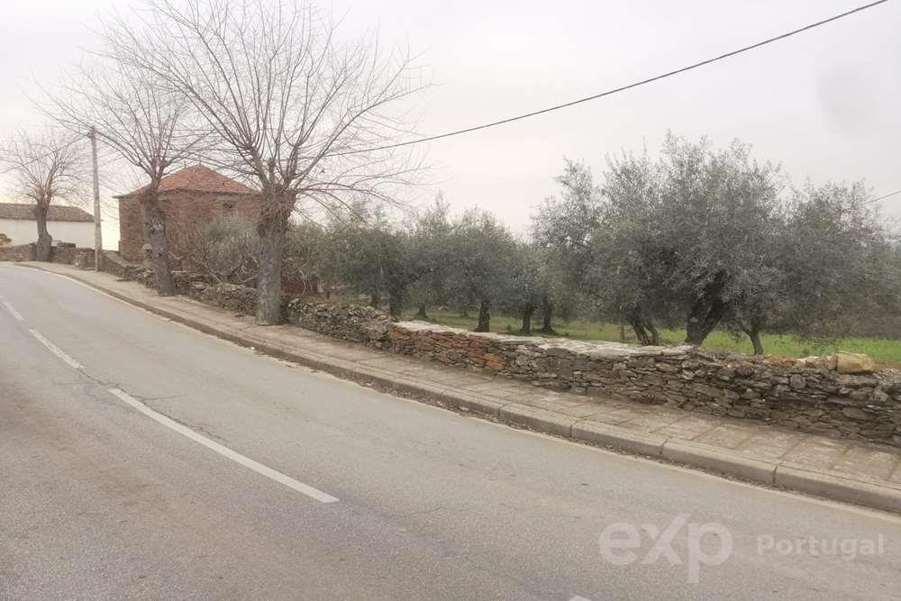 Small farm 10 km from Mirandela