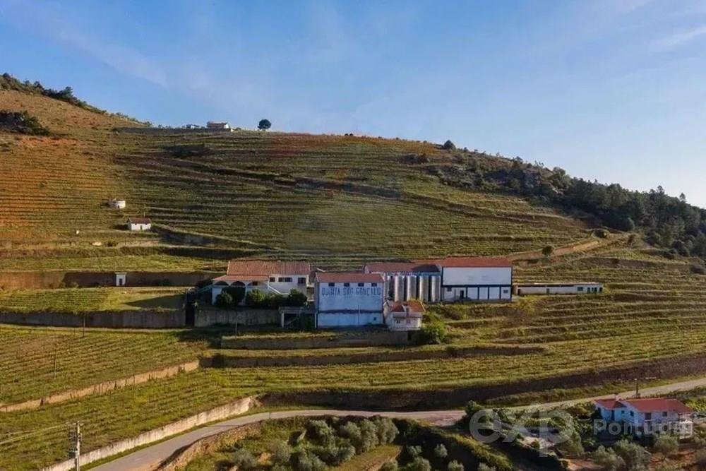 Wine historic farm - Vila Flor