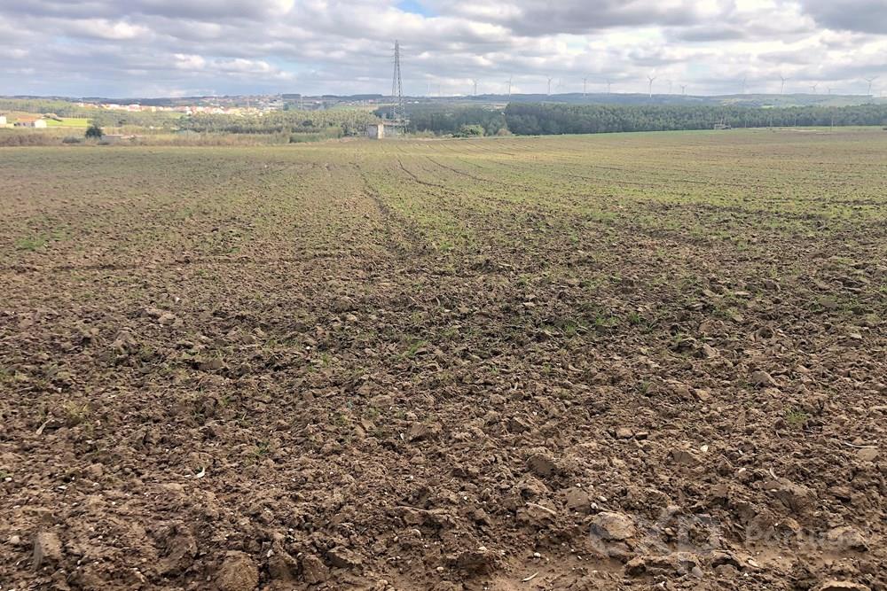 Oásis Rural: Terreno Rústico de 14.000 m² na Encantadora Vila de Atouguia Da Baleia