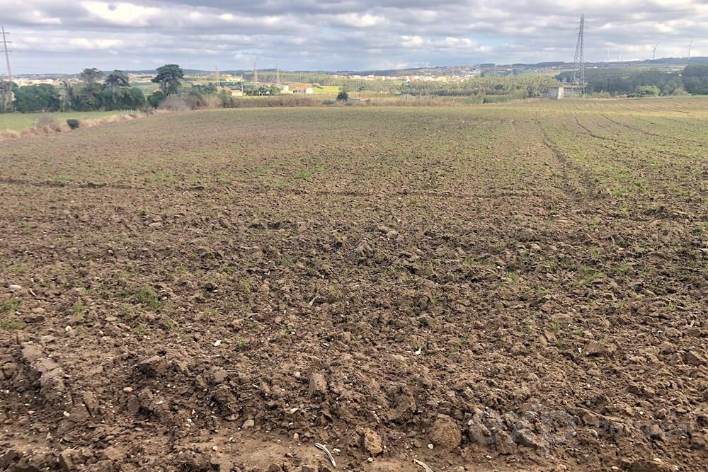 Oásis Rural: Terreno Rústico de 14.000 m² na Encantadora Vila de Atouguia Da Baleia