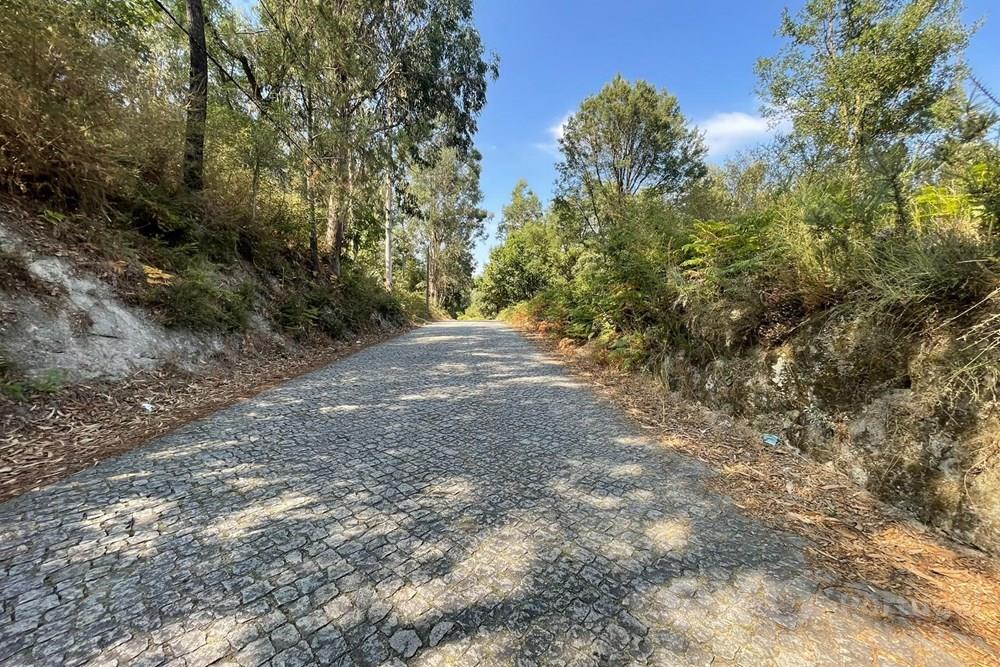 Terreno com Potencial Urbanizável