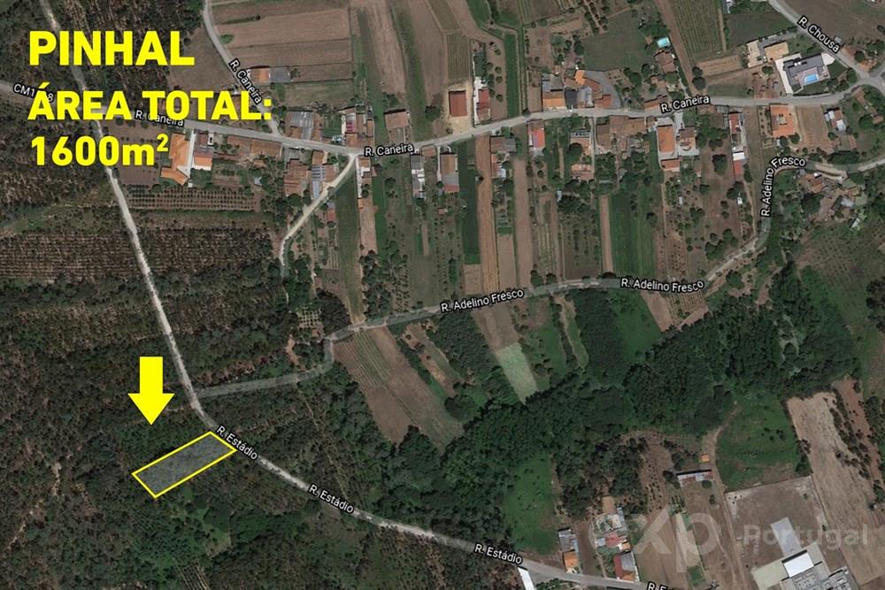 Terreno Pinhal com 1600m2