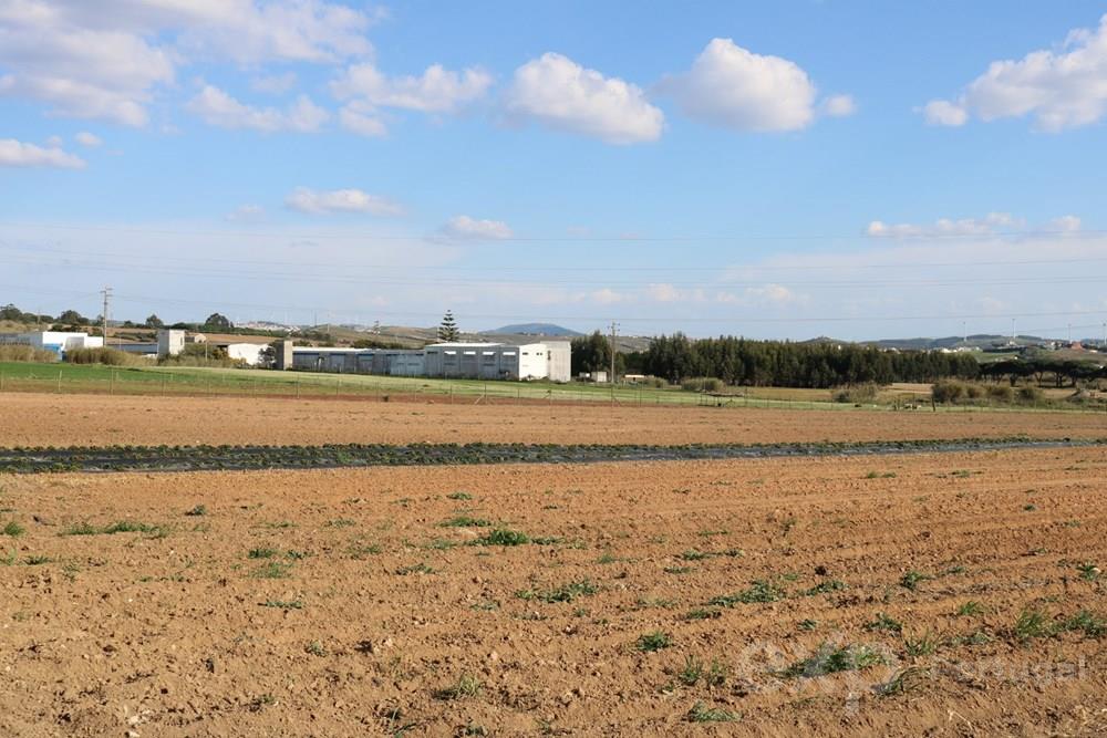 Terreno Industrial em Casalinhos de Alfaiata - Torres Vedras