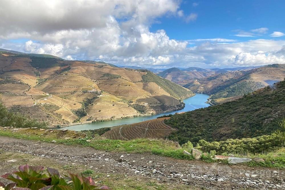 Quintinha ideal para Ferias em local privilegiado sobre o Douro