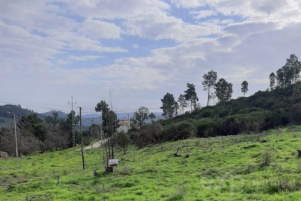 Terreno Rústico