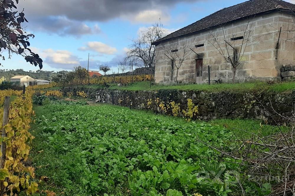 Armazém Agricola