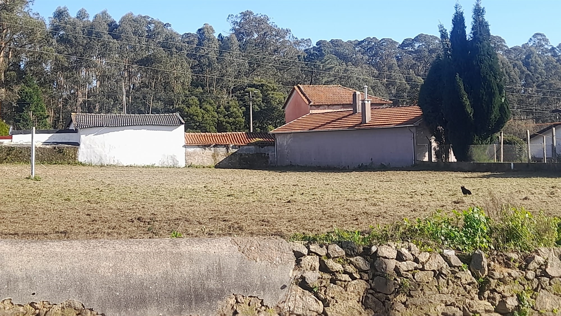 Lote para construção de moradia em Argoncilhe