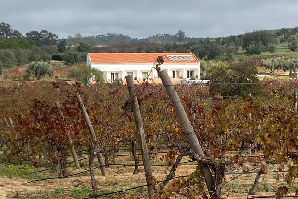 Wine estate with rural hotel, housing and carving wine production in Vidigueira