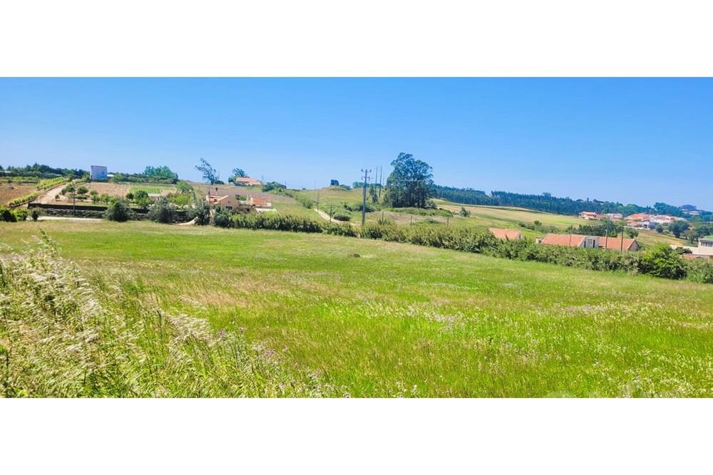 Terreno para construção - Salgueiro - Bombarral