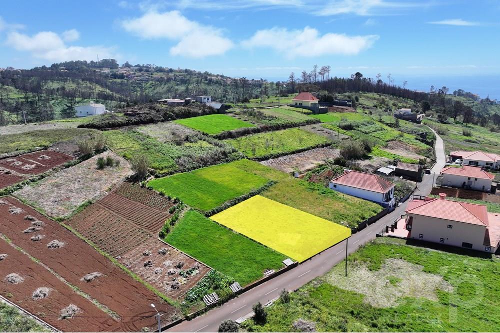 Terreno para Venda na Calheta