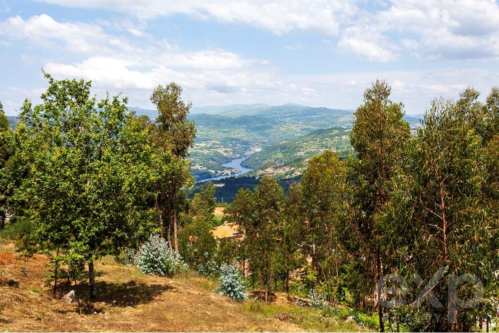 TERRENO / MORADIA / TURISMO &#124; MARAVILHOSAS VISTAS SOBRE O RIO DOURO