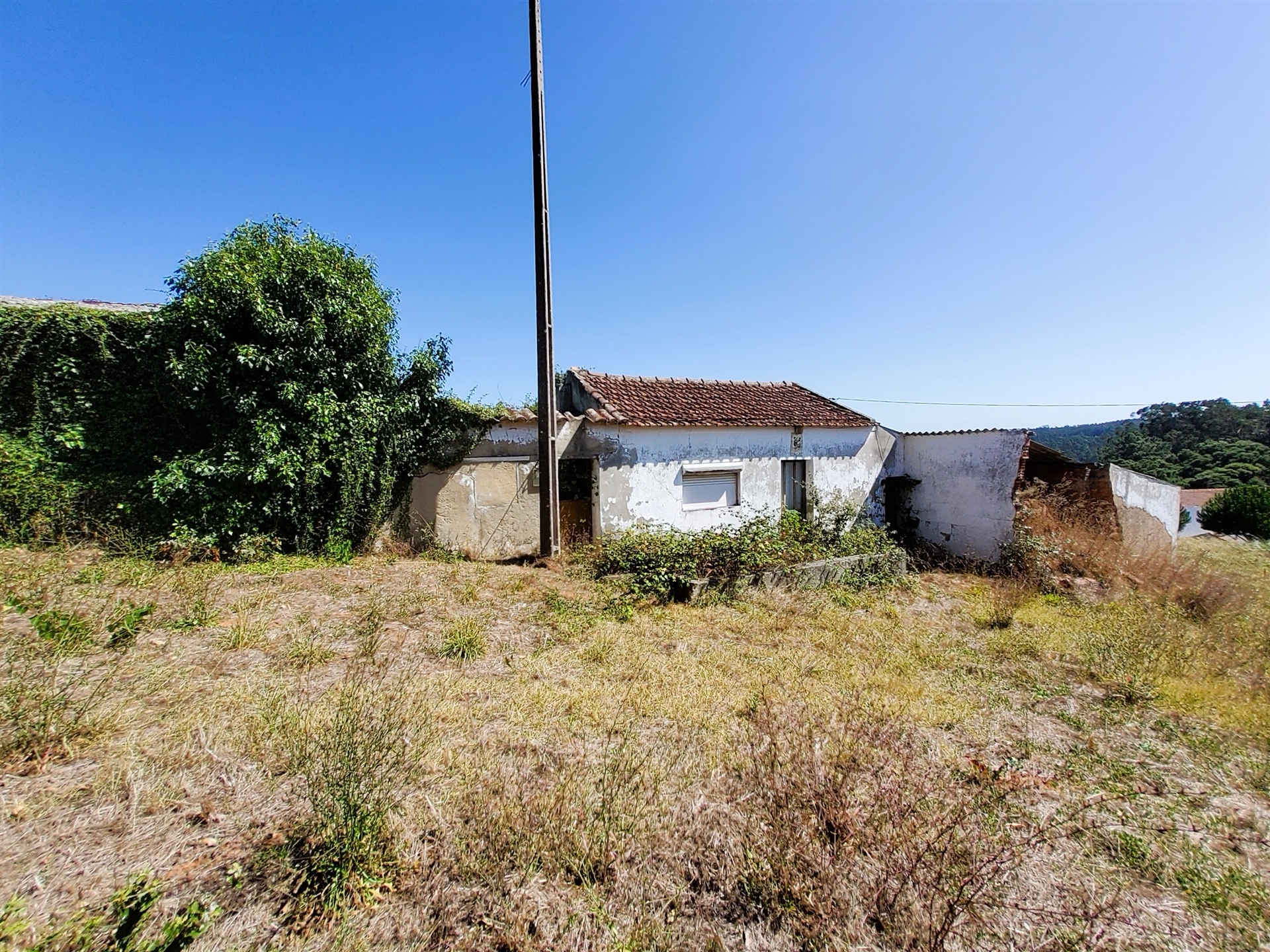 Terreno com ruína 2600m2 – Salir de Matos – Caldas da Rainha