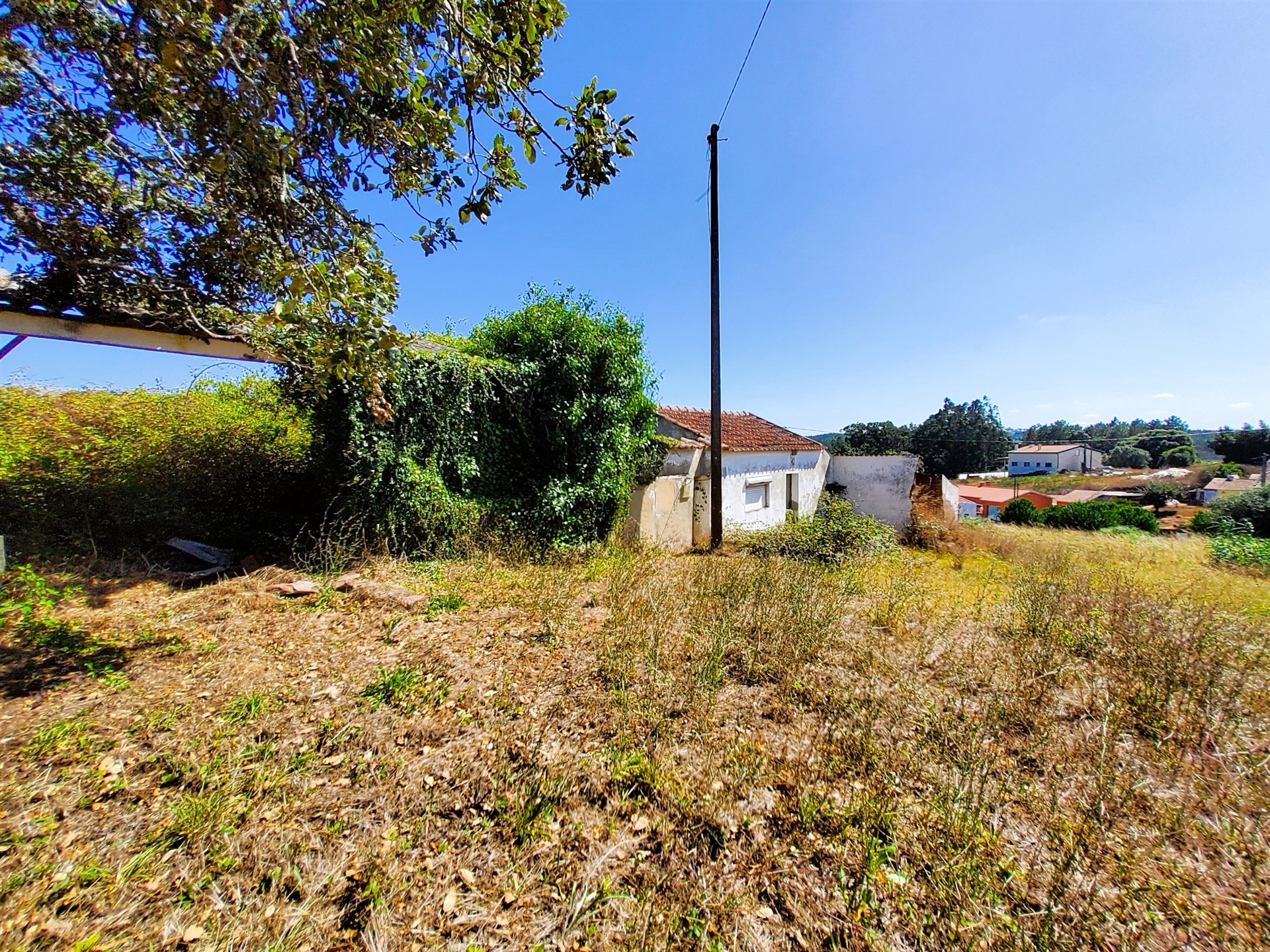 Terreno com ruína 2600m2 – Salir de Matos – Caldas da Rainha