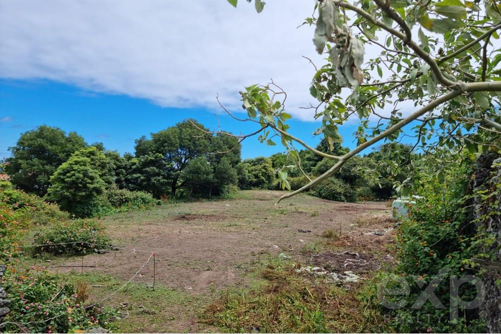 Terreno para Venda em São Vicente Ferreira