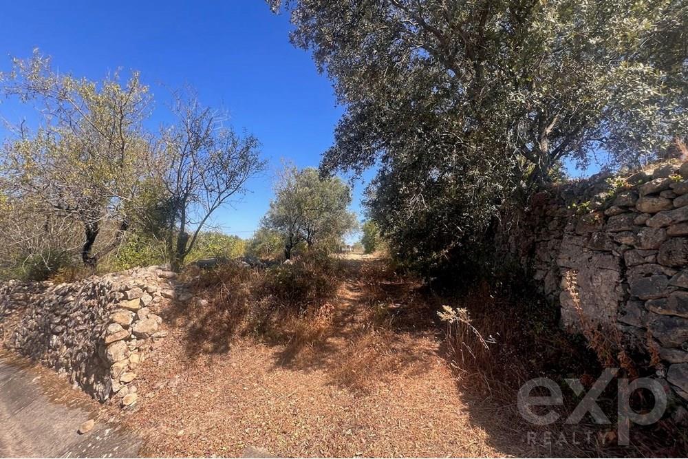 Terreno Rustico em Loulé