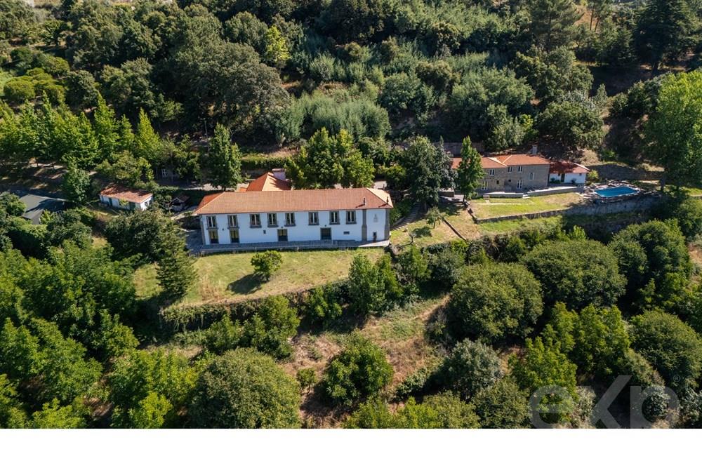 Farm in the Douro Valley