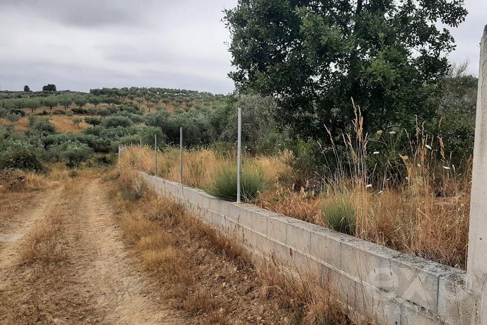 Rustic land - Parish of Bouça