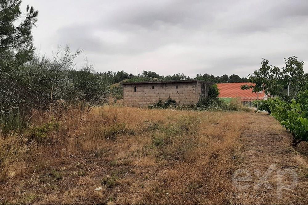 Rustic land - Parish of Bouça