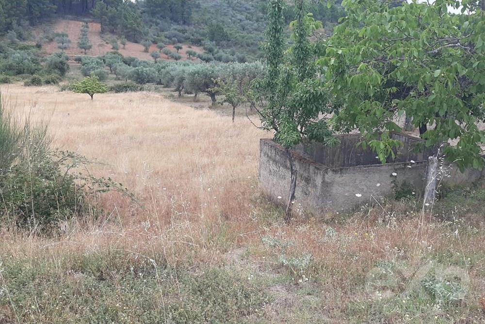 Rustic land - Parish of Bouça