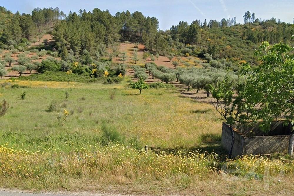 Rustic land - Parish of Bouça