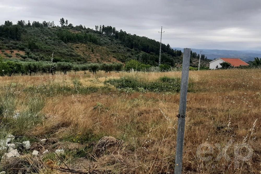 Rustic land - Parish of Bouça