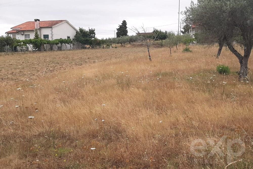 Rustic land - Parish of Bouça