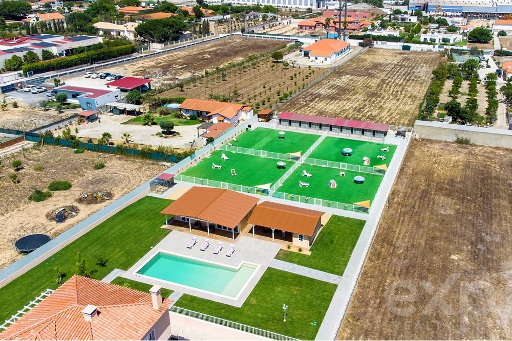 Quinta T4+2 em Azeitão com Piscina e um Hotel Canino com 10 Quartos 5.212m2 de Terreno