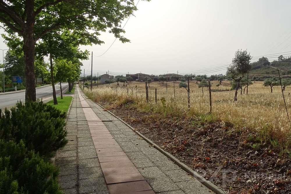 Terreno em Castelo Branco, a Lotear para construção residencial, com Plano de Pormenor aprovado e publicado