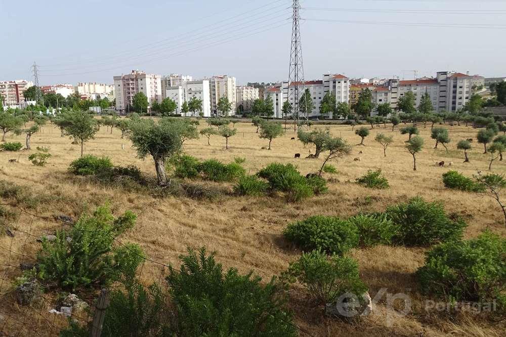 Terreno em Castelo Branco, a Lotear para construção residencial, com Plano de Pormenor aprovado e publicado