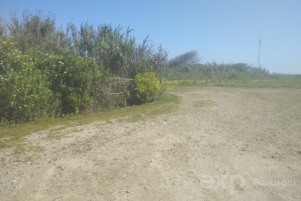 TERRENO PARA CONSTRUÇÃO EM ALTURA CANELAS