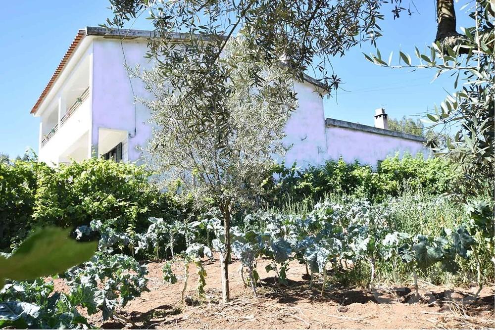 Stunning 5 Bedroom Detached villa for Sale in Central Portugal: A Serene Rural Retreat