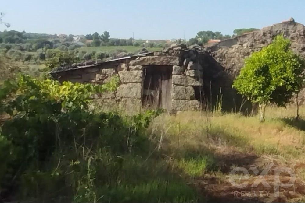 Quintinha com Terreno Urbano em Nelas