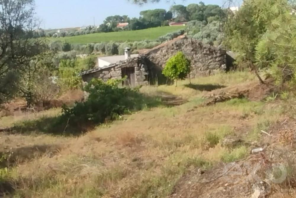 Quintinha com Terreno Urbano em Nelas