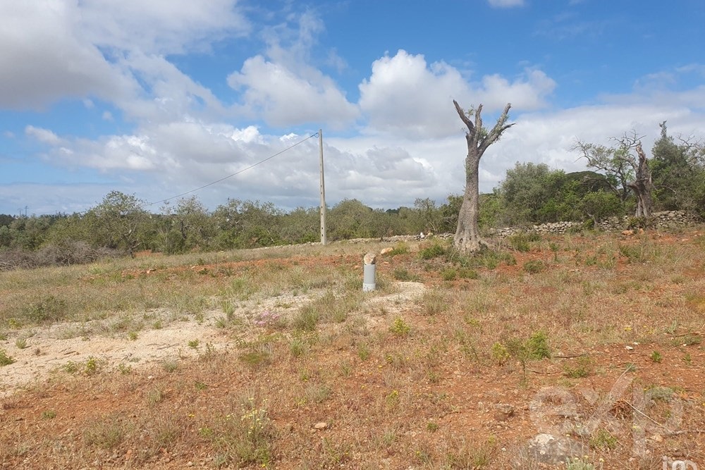 Land Selling with Sea views in FERREIRAS – ALBUFFERA - ALGARVE