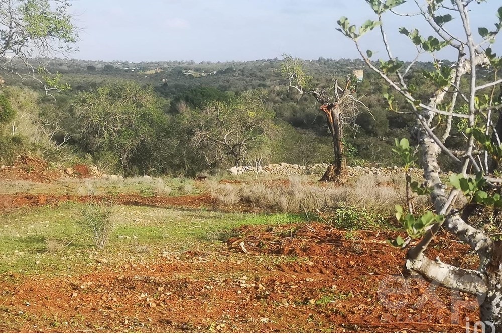 Land Selling with Sea views in FERREIRAS – ALBUFFERA - ALGARVE