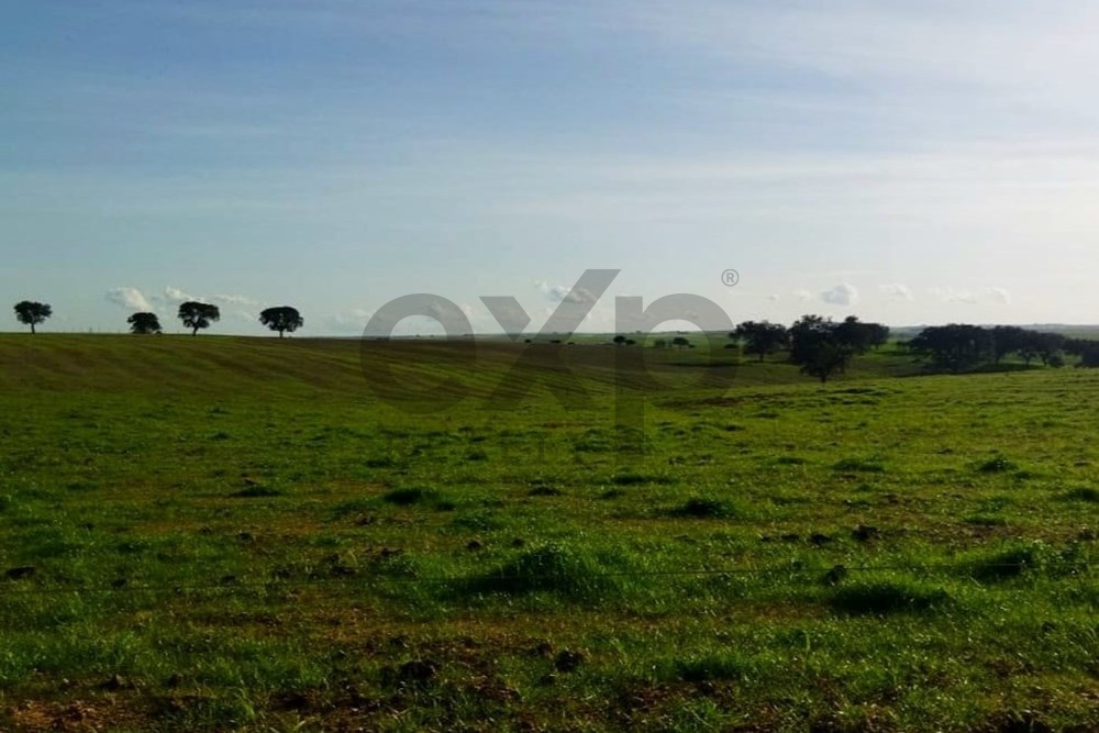 Fantástica Herdade no Baixo Alentejo